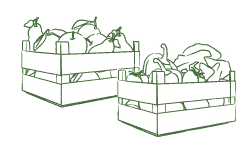 Obst und Gem&uuml;se-Kisten im Abo