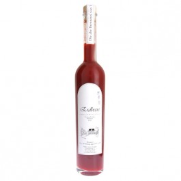 Erdbeere Fruchtsaft-Likör 500ml