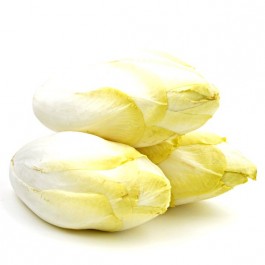 Chicorée 100g, Niederlande