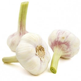 Knoblauch 