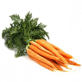 Möhren, 1 Bund