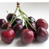 Süsskirschen, Sorte Merchant, 500 g-Schale, Deutschland