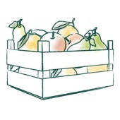 ABO-Kiste mit unserem Standard-Obst ab 25,00 €