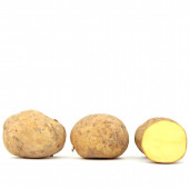 Karelia Kartoffel, mehlig kochend