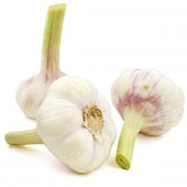Knoblauch 