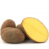 Laura Kartoffel vorwiegend festkochend