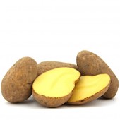 Nikola (ähnl. Venezia) Kartoffel festkochend