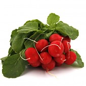 Radieschen,  1 Bund